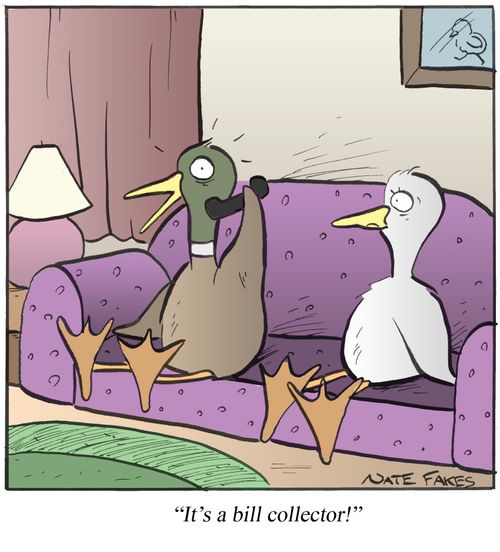'It's a bill collector!'