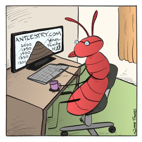 Antcestry.com