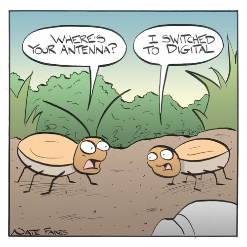 Digital Bug