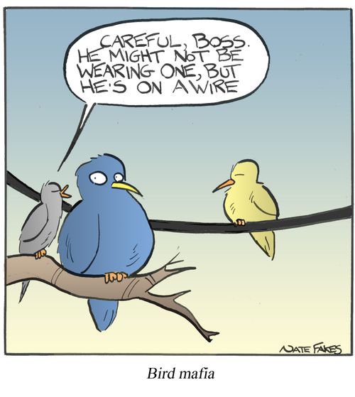 Bird Mafia