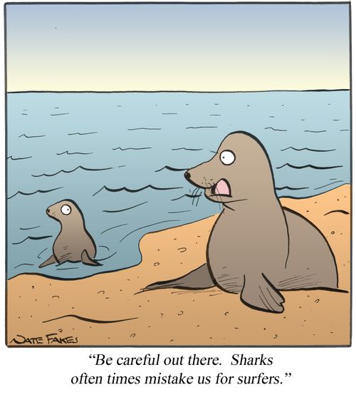 'Be careful out there. Sharks often times mistake us for surfers.'