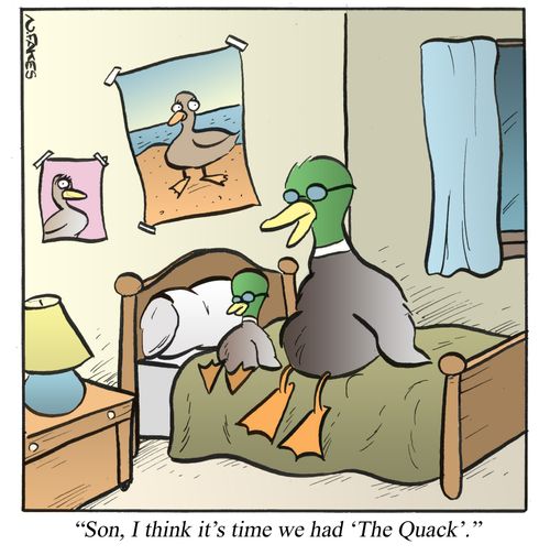 'Son, I think it's time we had 'The Quack'.'