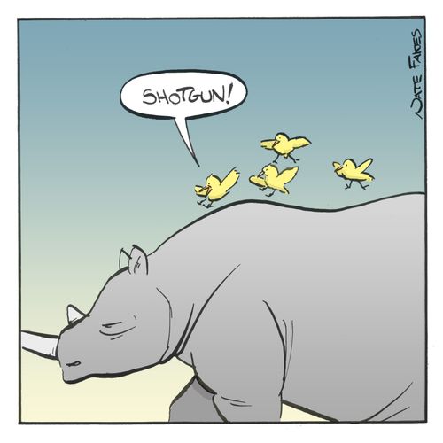 'Shotgun!'