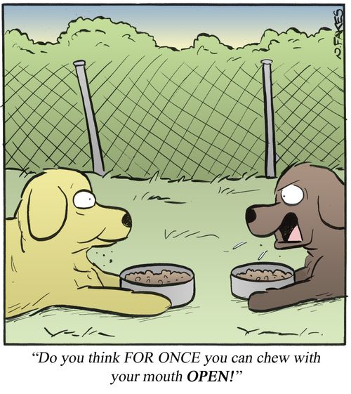 'Do you think FOR ONCE you can chew with your mouth OPEN!'