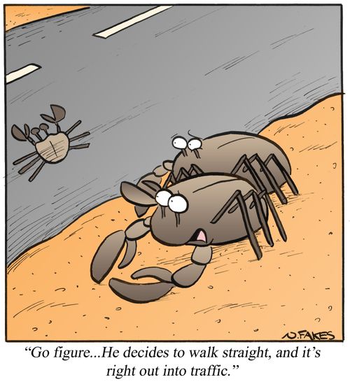 'Go figure...He decides to walk straight, and it's right out into traffic.'