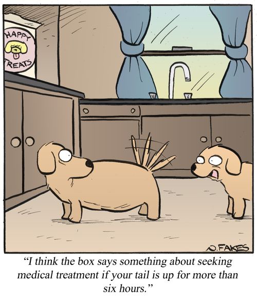 'I think the box says something about seeking medical treatment if your tails is up for more than six hours.'