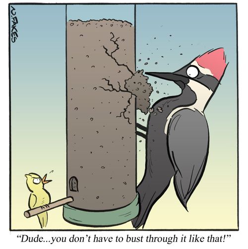 'Dude...you don't have to bust through it like that!'