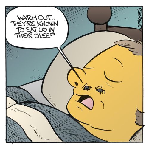 'Watch out. . . they're known to eat us in their sleep.'