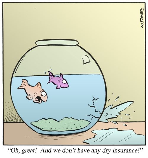 'Oh, great! And we don't have any dry insurance!'