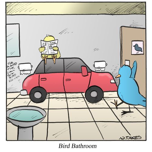 Bird Bathroom