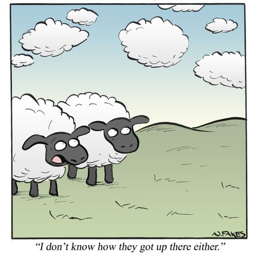 'I don't know how they got up there either.'