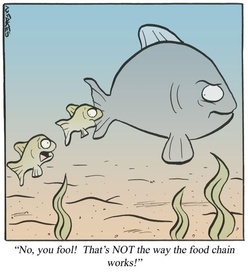 'No, you fool! That's NOT the way the food chain works!'