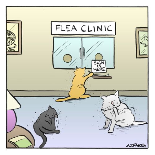 Flea Clinic