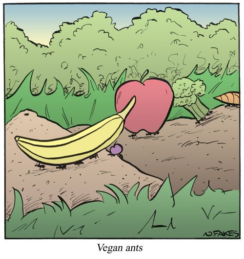 Vegan Ants