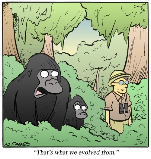 'That's what we evolved from.'