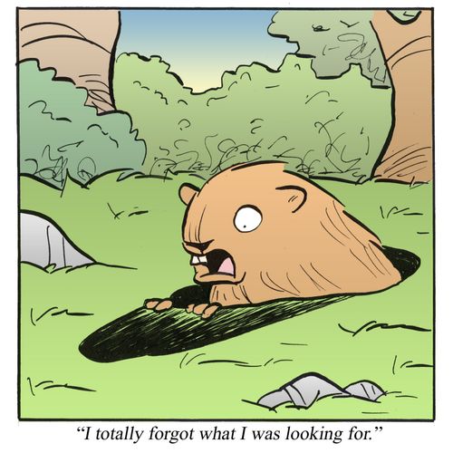 'I totally forgot what I was looking for.'