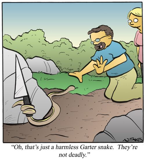 'Oh, that's just a harmless Garter snake. They're not deadly.'