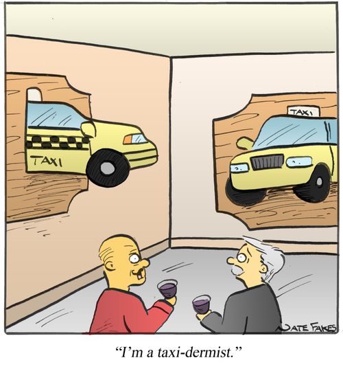 'I'm a taxi-dermist.'
