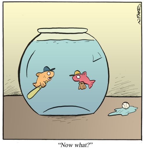 'Now what?'