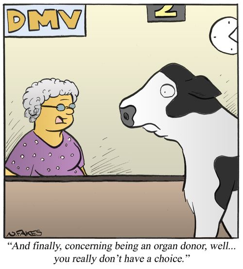 'And finally,concerning being an organ donor, well...you don't really have a choice.'