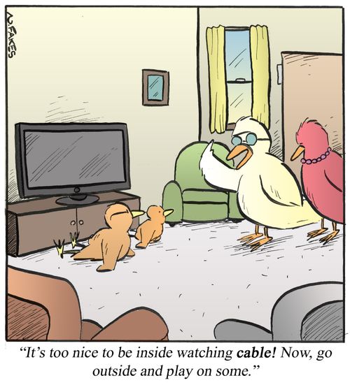 'It's too nice to be inside watching cable! Now, go outside and play on some.'