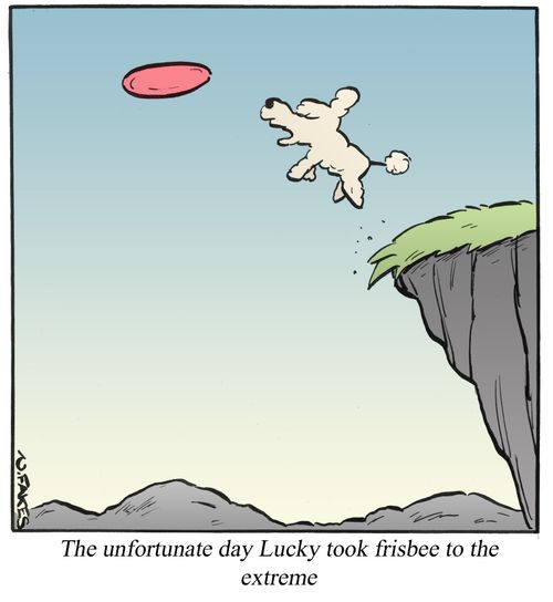 The unfortunate day Lucky too frisbee to the extreme