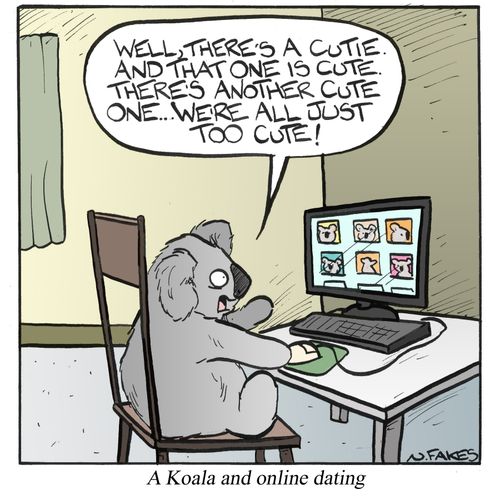 A Koala and online dating