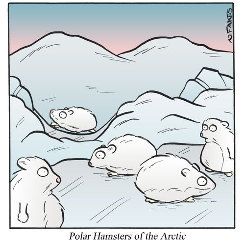 Polar Hamsters of the Arctic