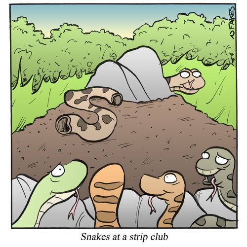 Snakes at a strip club