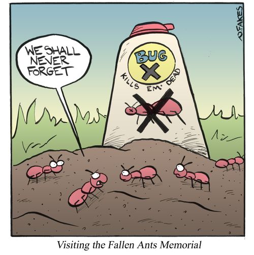 Visiting the Fallen Ants Memorial