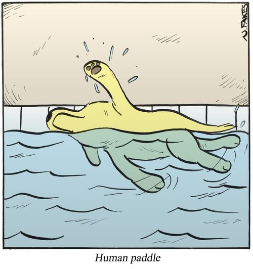 Human paddle
