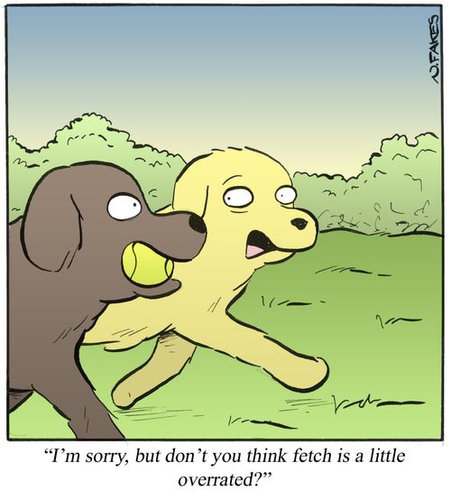 'I'm sorry, but don't you think fetch is a little overrated?'