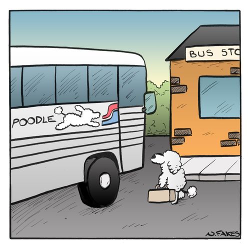 Poodle bus
