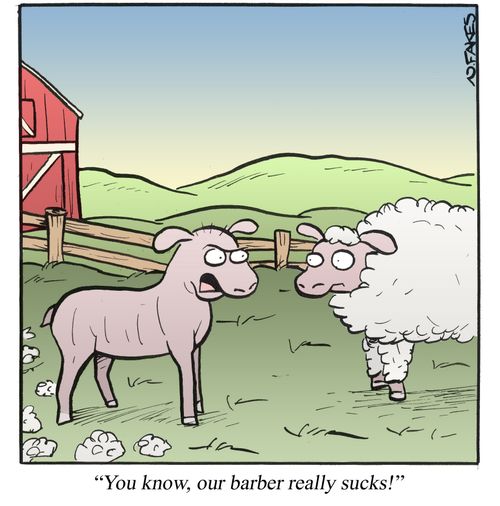'You know, our barber really sucks.'