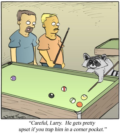 'Careful, Larry. He gets pretty upset if you trap him in a corner pocket.'