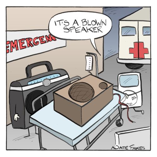 'It's a blown speaker.'