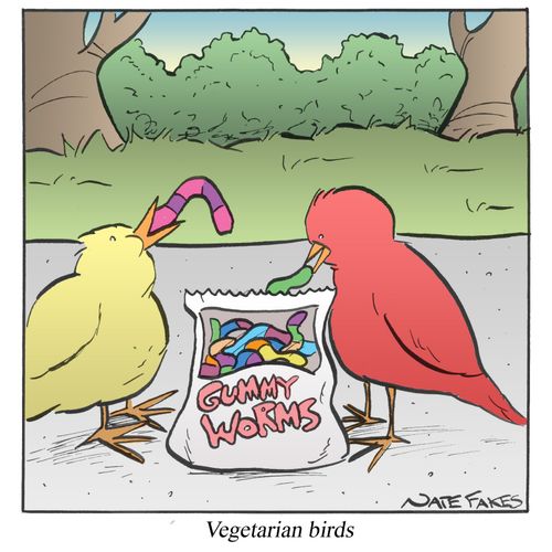 Vegetarian Birds