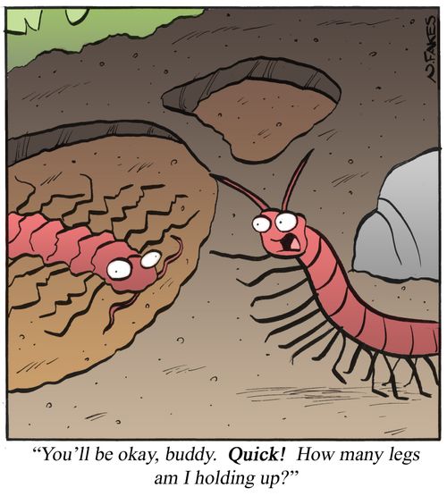 'You'll be okay, buddy. Quick! How many legs am I holding up?'