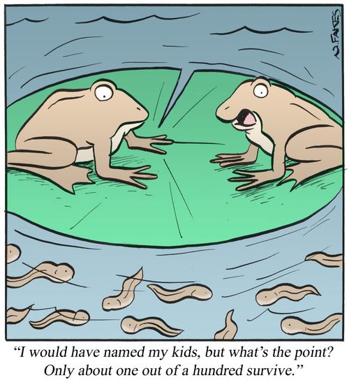 'I would have named my kids, but what's the point? Only about one out of a hundred survive.'