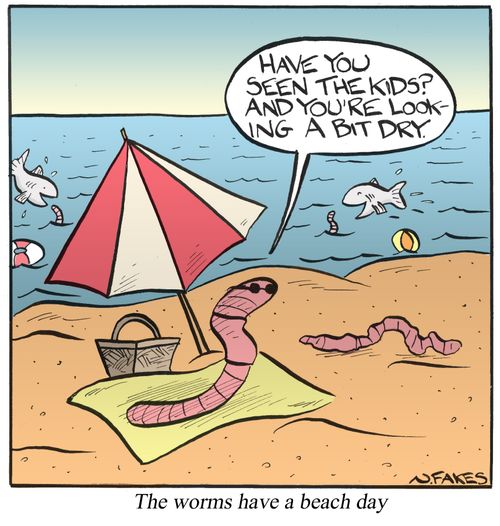 The worms have a beach day