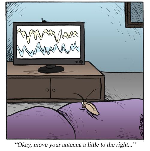 'Okay, move your antenna a little to the right...'