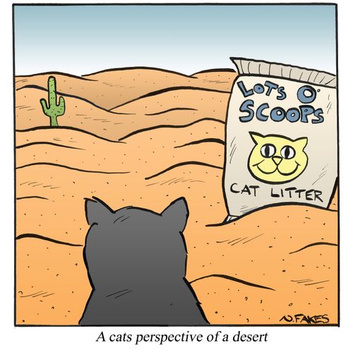 A cats perspective of a desert