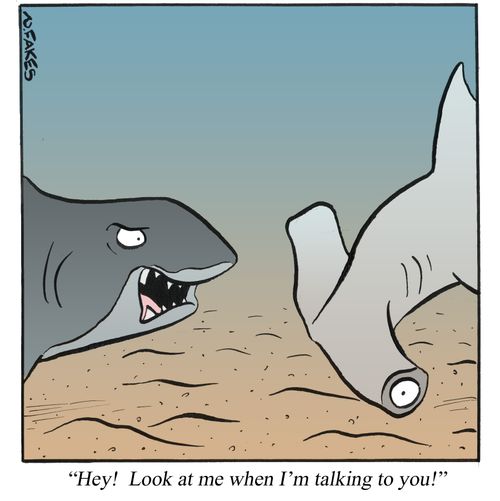 'Hey! Look at me when I'm talking to you!'