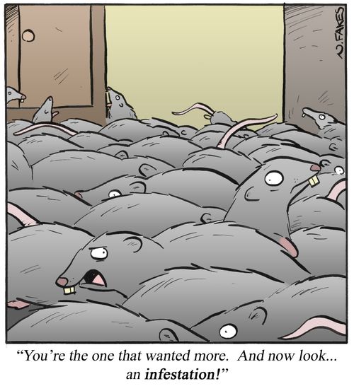 'You're the one that wanted more. And now look...and infestation!'