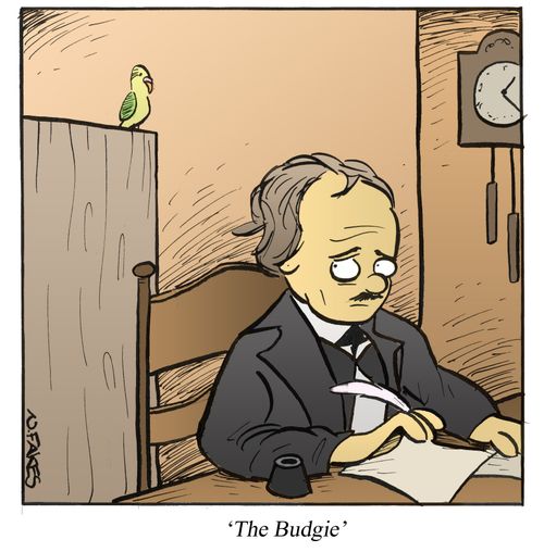 The Budgie