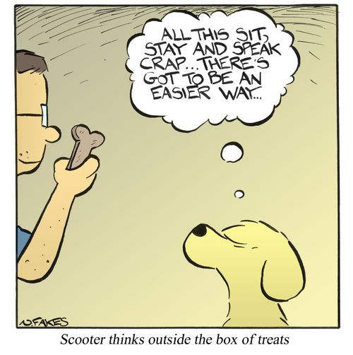 Scooter thinks outside the box of treats