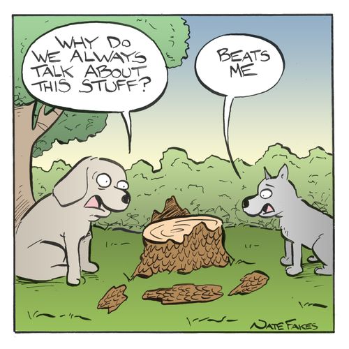 'Why do we always talk about this stuff?'