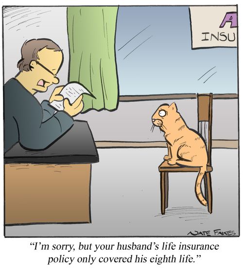 'I'm sorry, but your husband's life insurance policy only covered his eighth life.'
