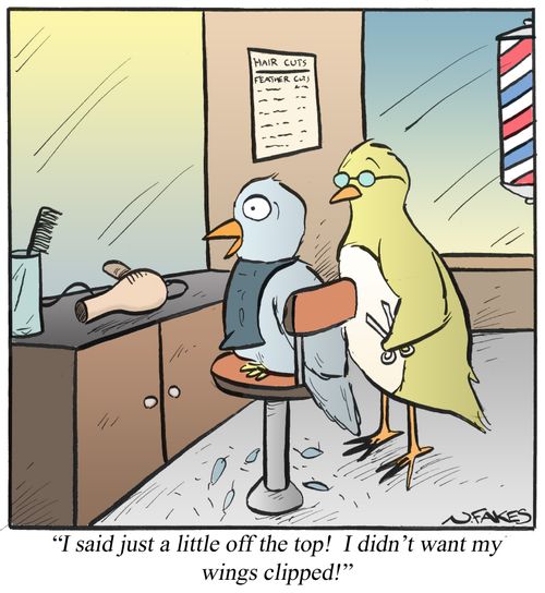 'I said just a little off the top! I didn't want my wings clipped!'