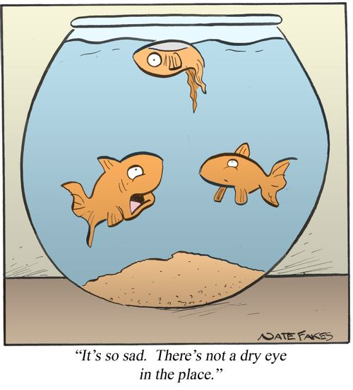 'It's so sad. There's not a dry eye in the place.'